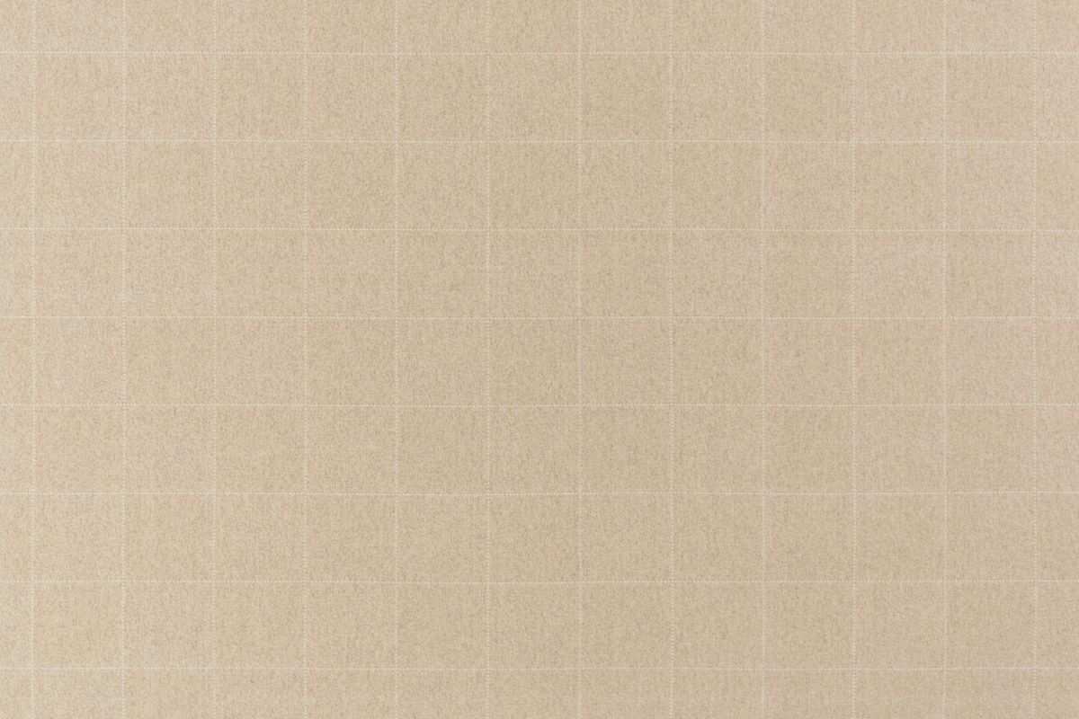 T01002847_ALT2