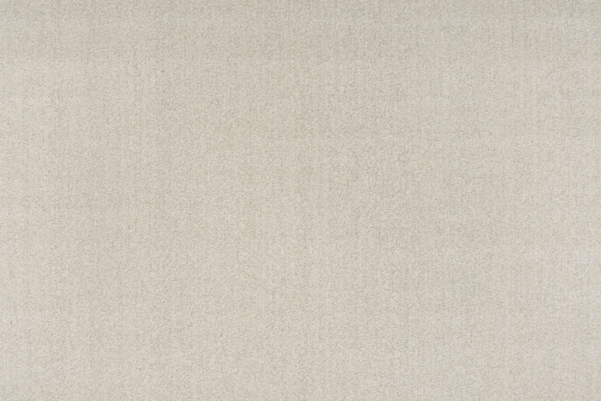 T01002937_ALT2
