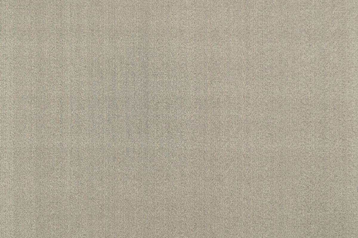 T01002949_ALT2