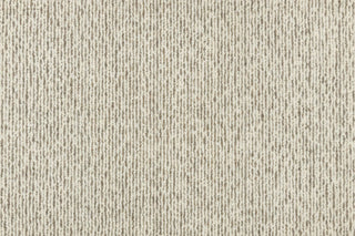 T01002949_CL