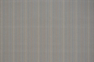 T01002989_ALT2