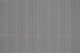 T01002990_ALT2