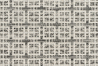 T01005778_CL