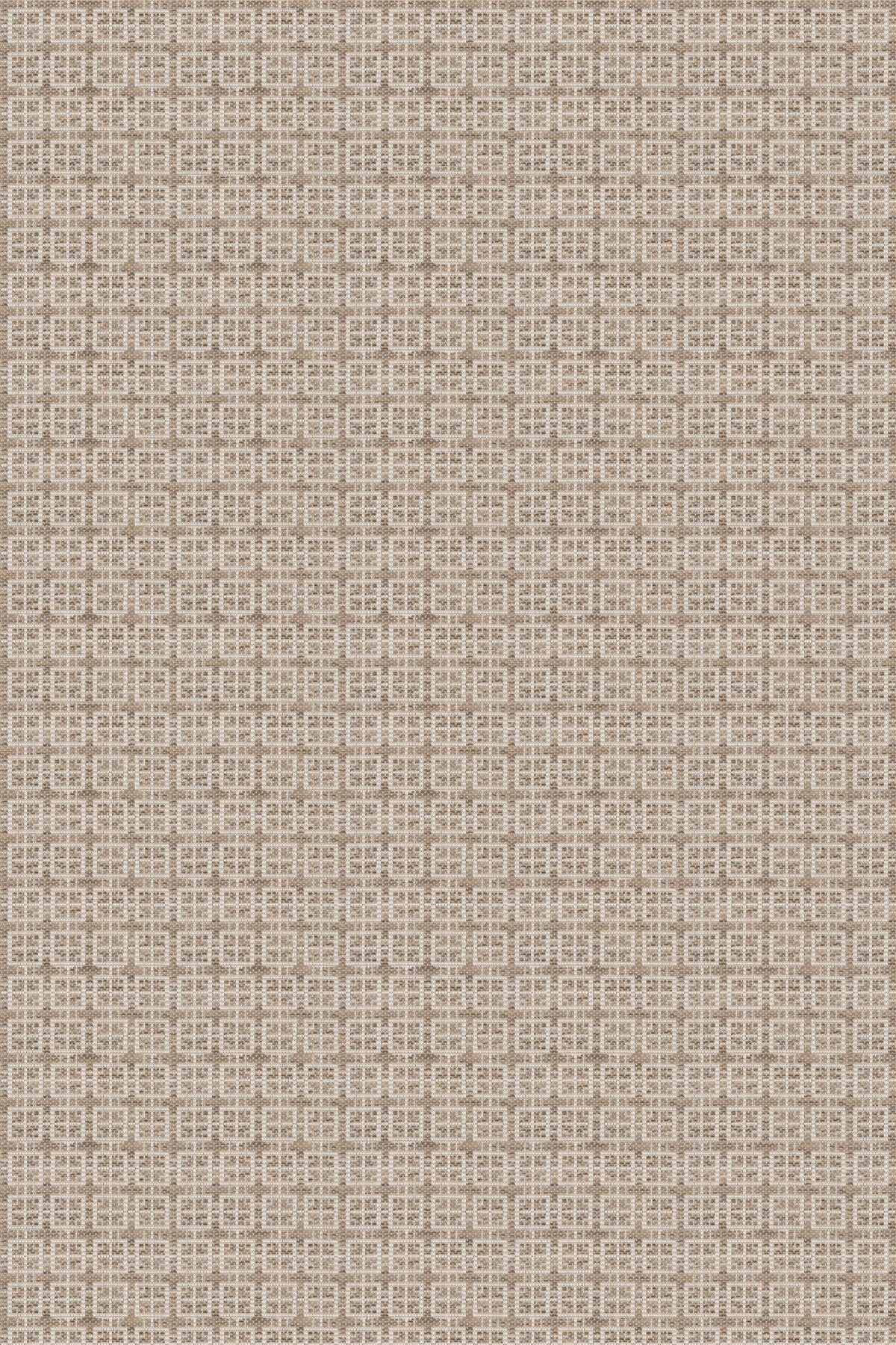 T01005779_ALT2