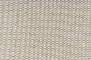T01005786_CL