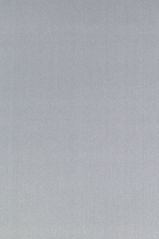 T01005787_ALT2