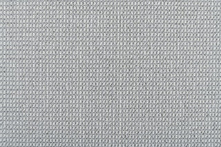 T01005787_CL