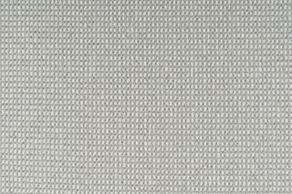 T01005790_CL
