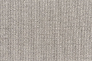 T01005996_CL