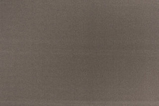 T01006001_ALT2