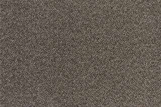 T01006001_CL