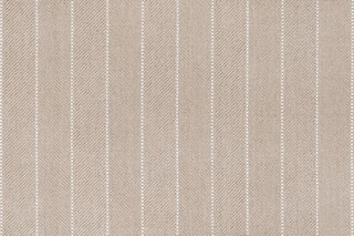 T01006075_CL