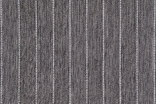 T01006086_CL