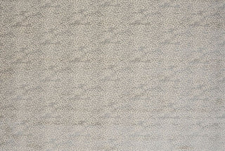 T01006616_ALT2