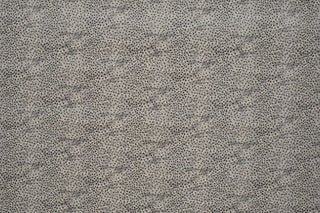 T01006617_ALT2