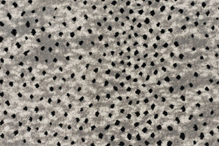 T01006617_CL