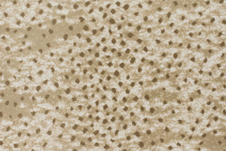 T01006618_CL