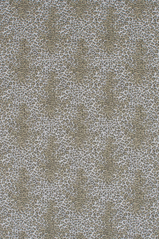 T01006837_ALT2