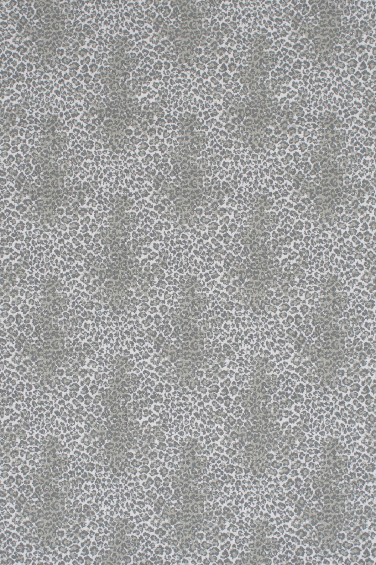 T01006838_ALT2