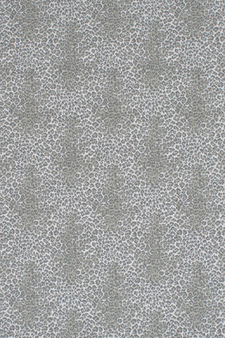 T01006838_ALT2