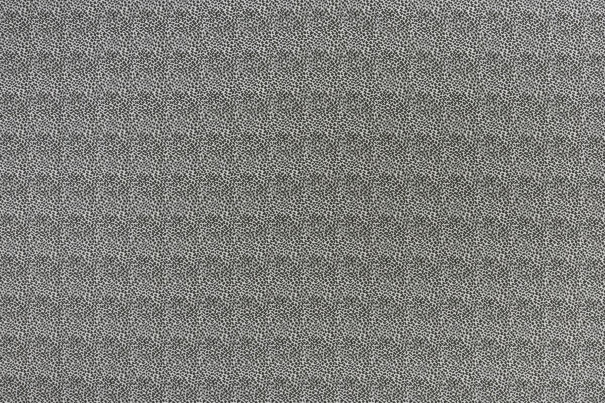 T01006880_ALT2