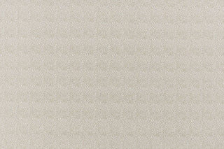 T01006881_ALT2