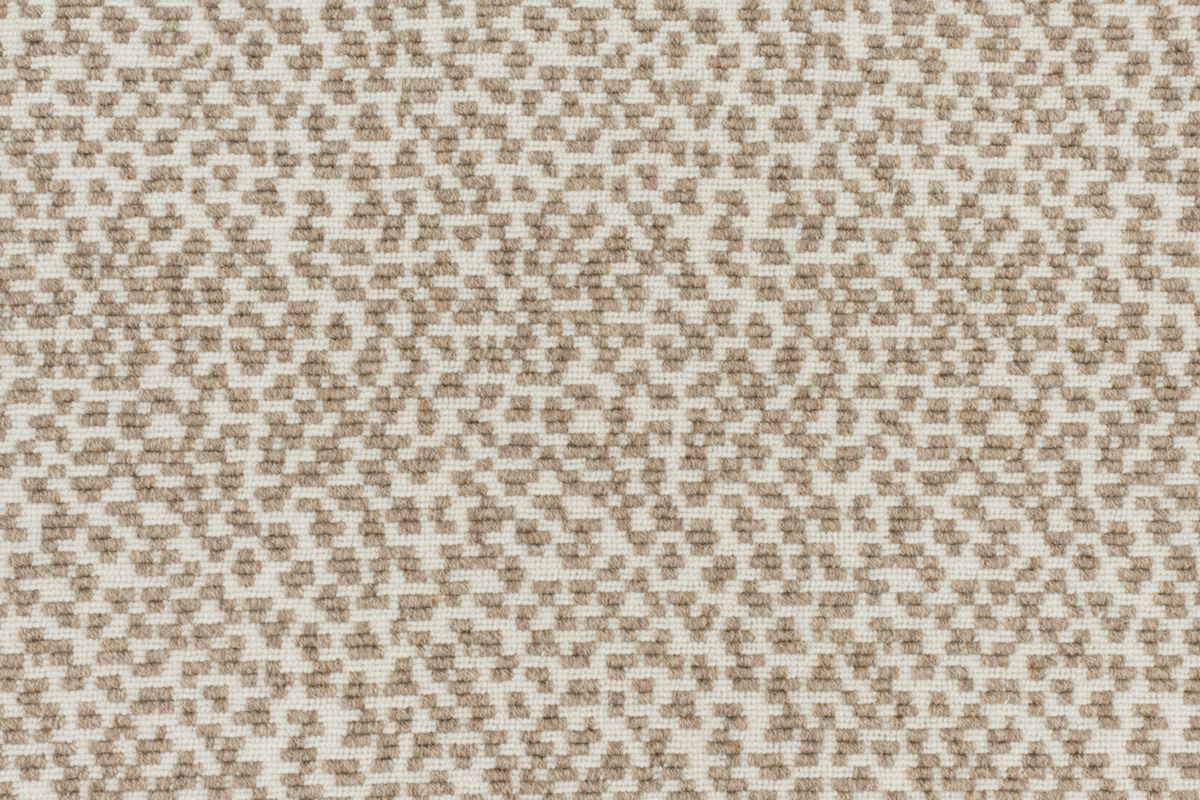 T01006882_CL