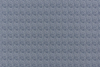 T01006883_ALT2