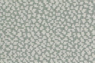 T01006884_CL