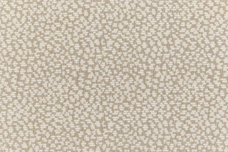 T01006885_CL