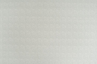 T01006887_ALT2
