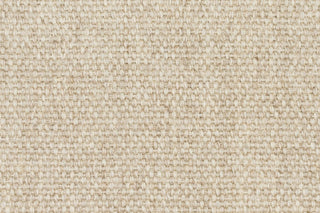 T01006971_CL