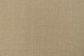 T01006973_ALT2