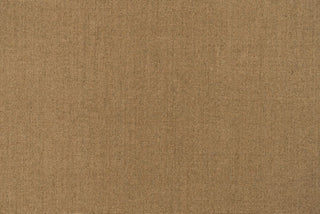 T01006974_ALT2