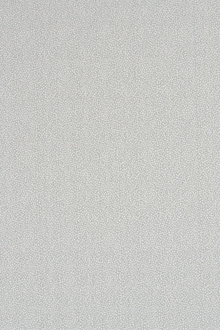 T01006982_ALT2
