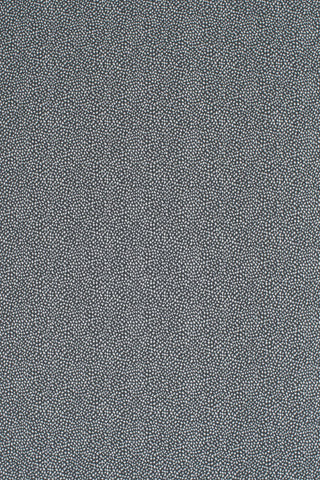 T01006983_ALT2