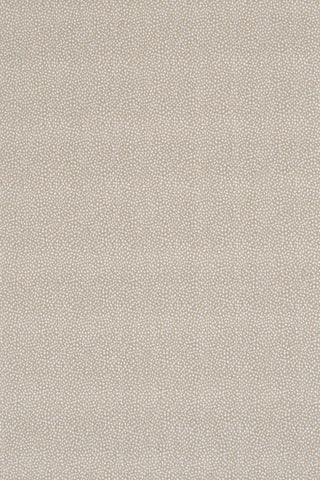 T01006984_ALT2