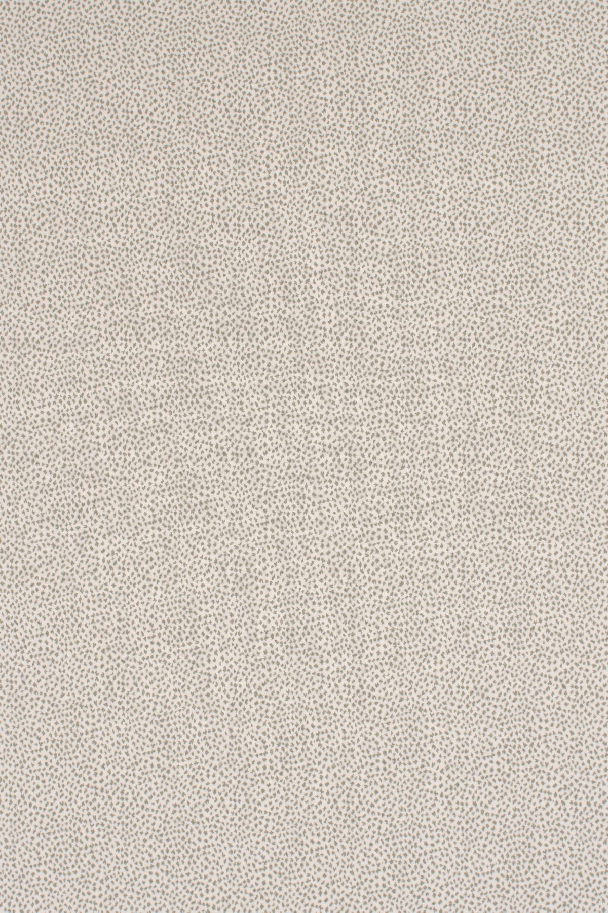 T01006987_ALT2