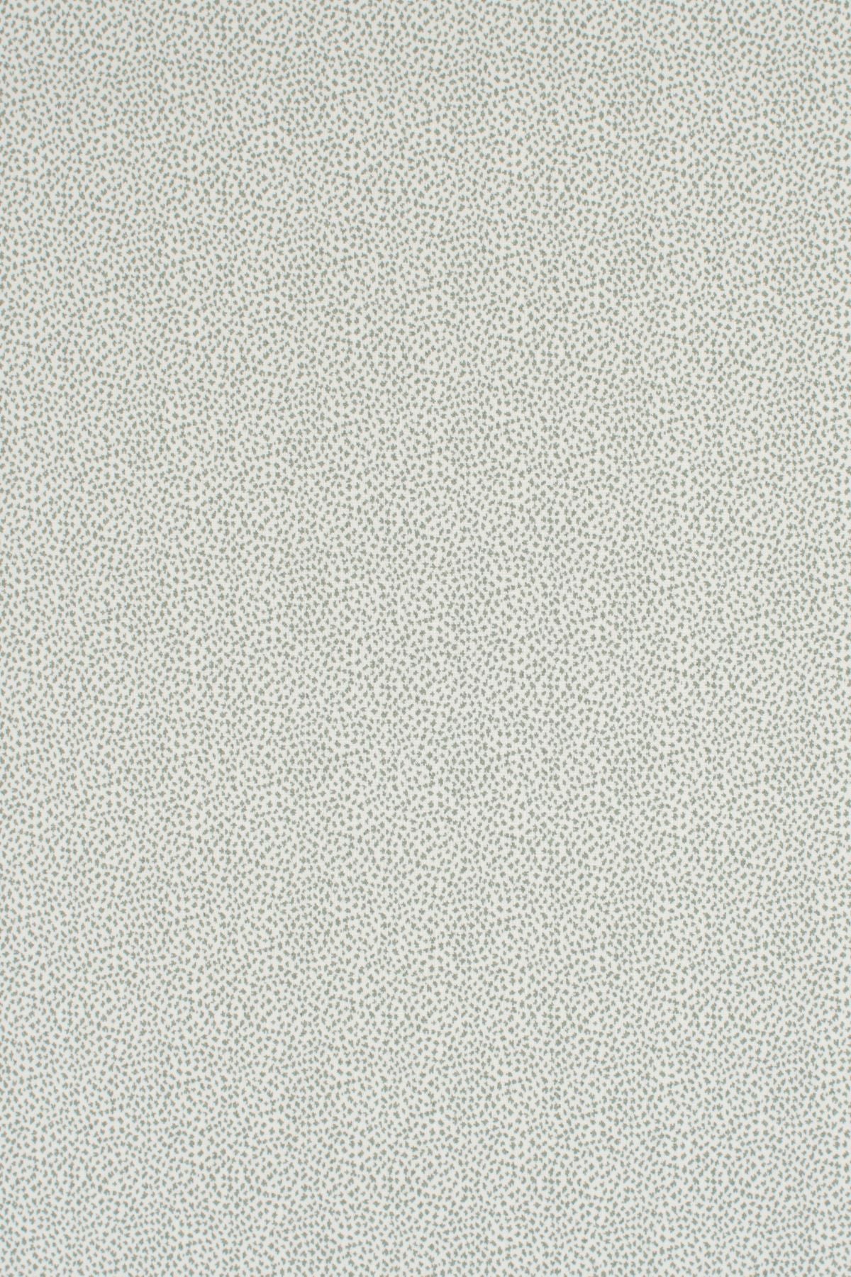 T01006989_ALT2