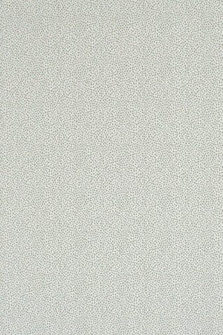 T01006989_ALT2
