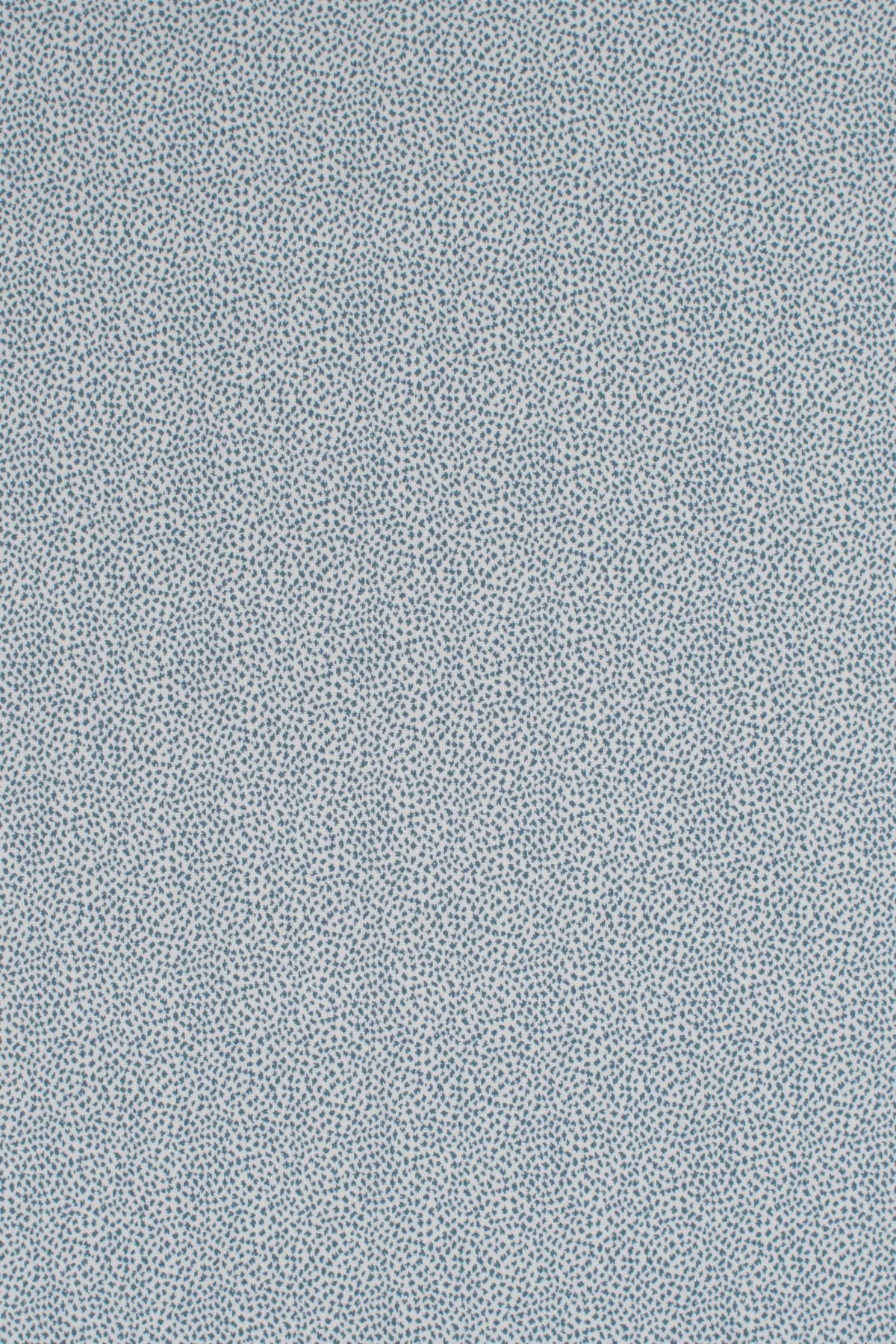 T01006992_ALT2