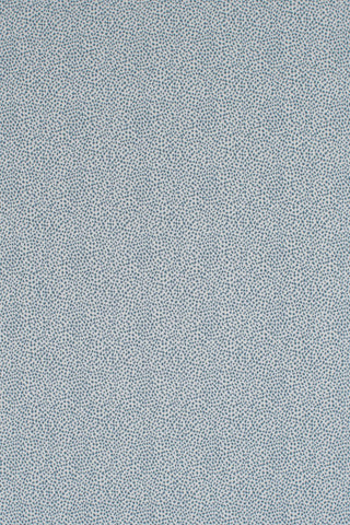 T01006992_ALT2