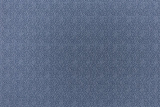 T01006997_ALT2