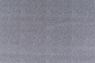 T01007026_ALT2