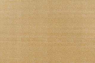 T01007027_ALT2