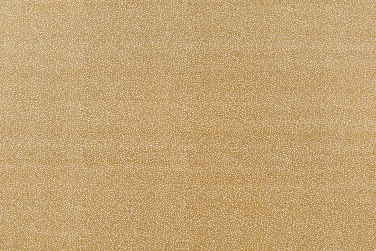 T01007027_ALT2