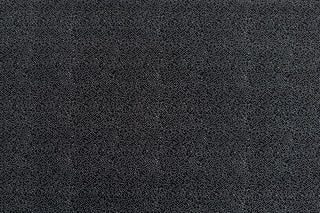 T01007028_ALT2