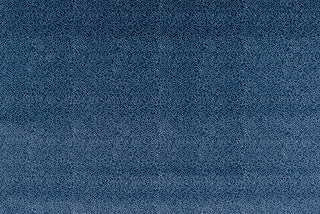 T01007029_ALT2