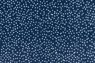 T01007029_CL