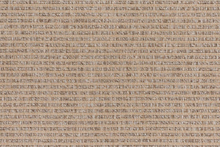 T01007237_CL